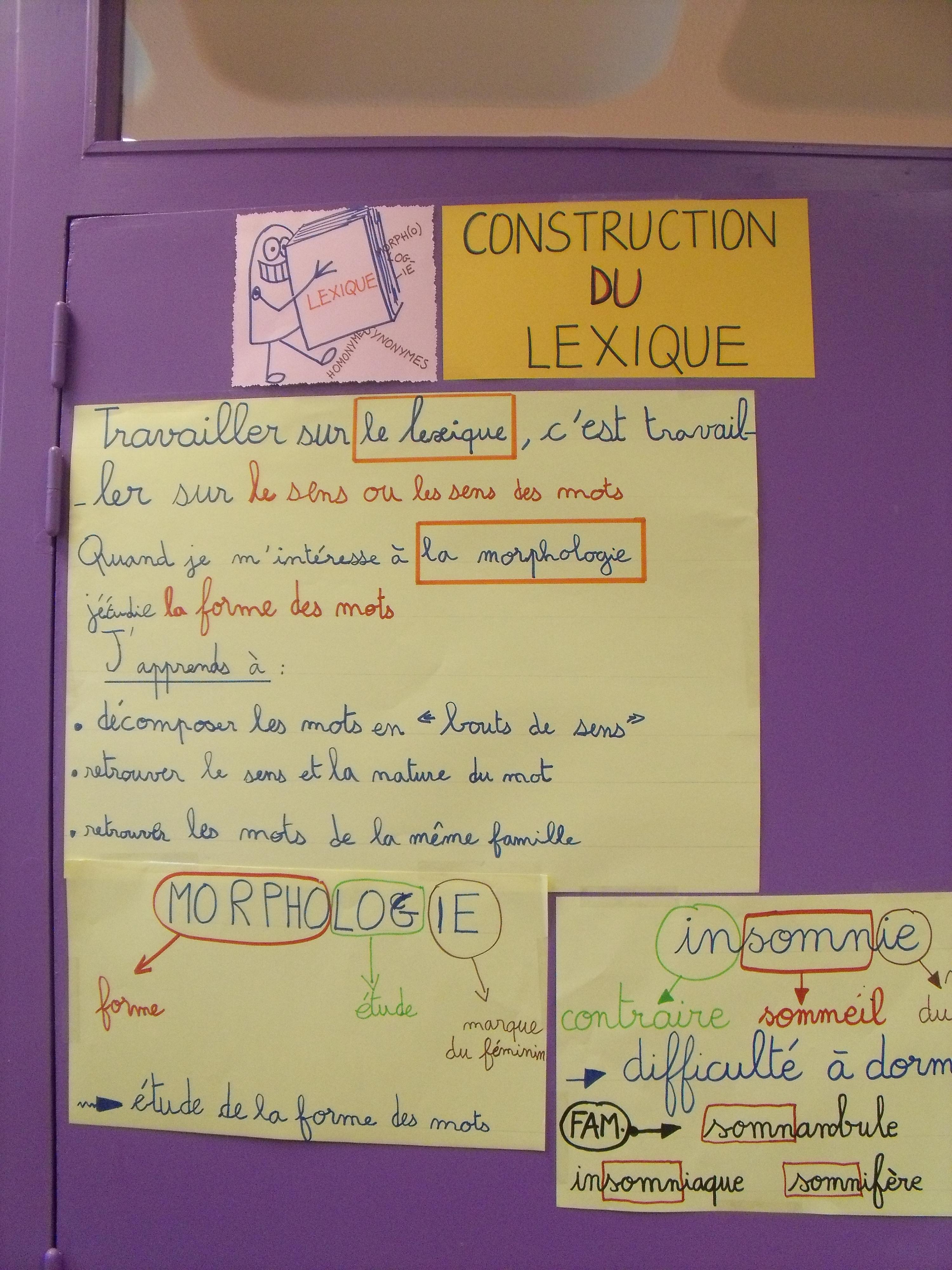 Affichage réfexif : La construction du lexique